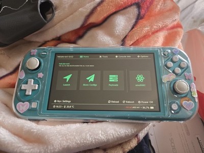 Nintendo Switch Lite Animal Crossing Edition Turquoise Special Edition Console
