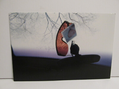 VINTAGE FOUND PHOTOGRAPH COLOR ART ORIGINAL PHOTO ARTSY SUNGLASSES WINTER TREES