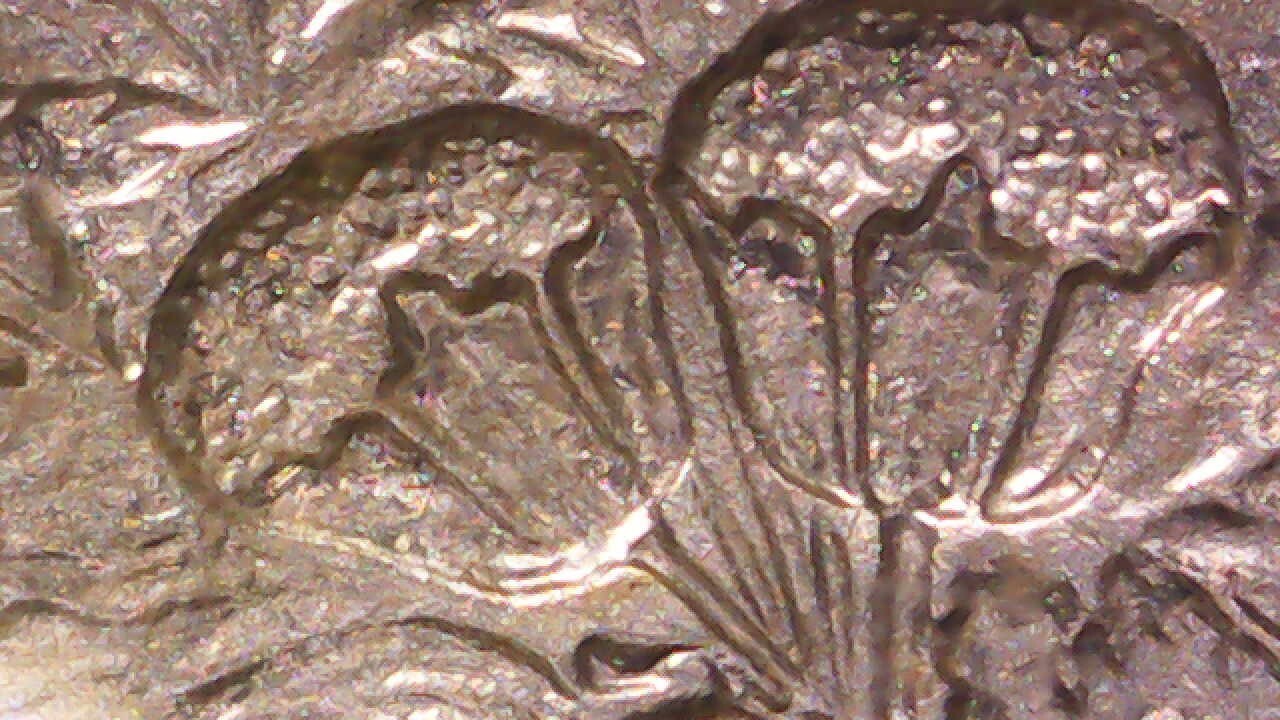 Picture 20 of 22