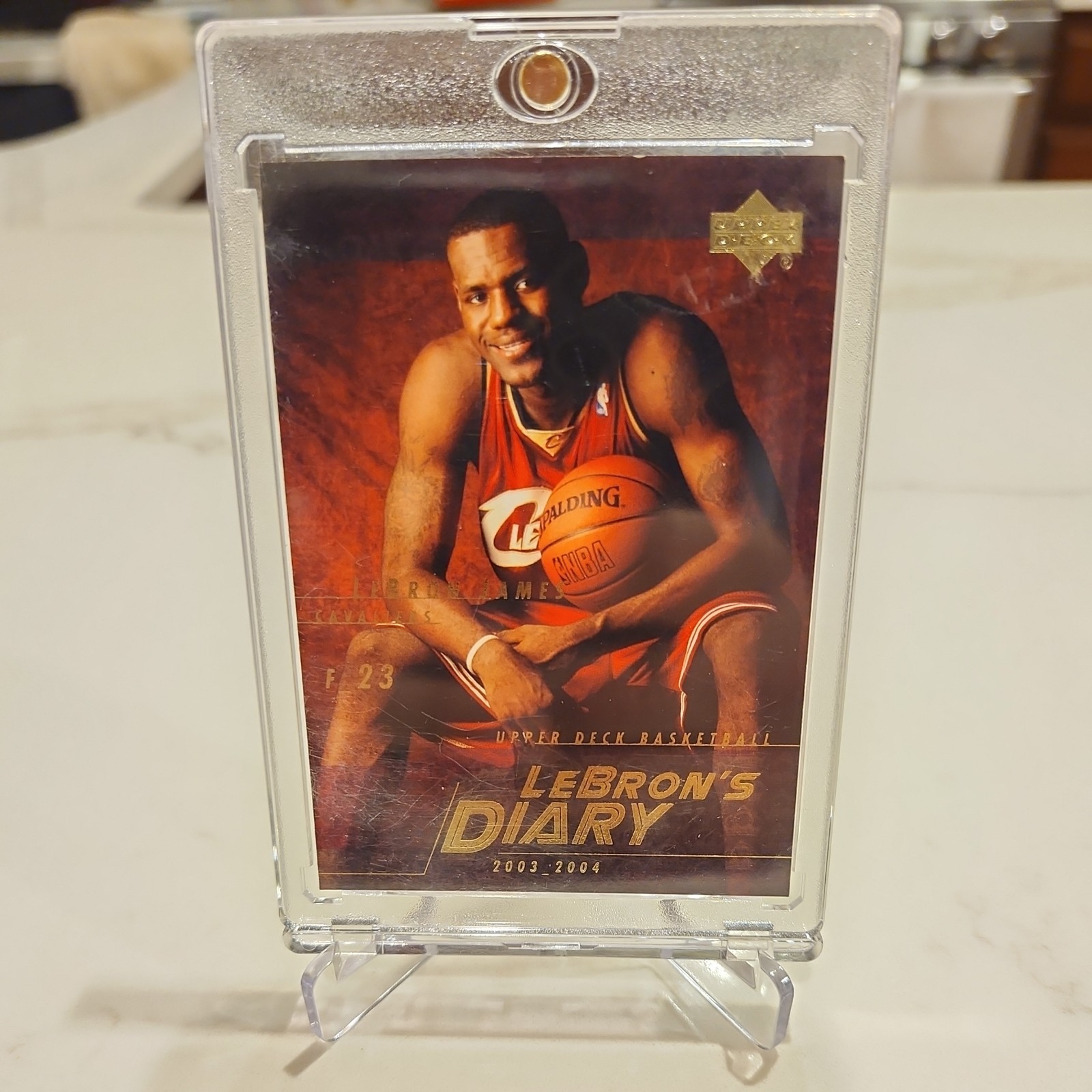 2003-04 Upper Deck LeBron's Diary #LJ11 LeBron James- RC Rookie