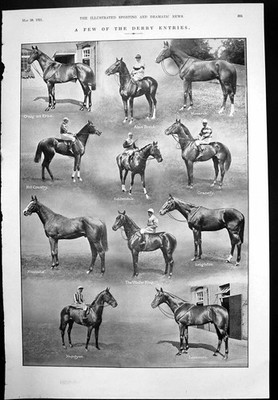 Old Vintage Print Few Derby Entries Horses Man Drew Runner Calcutta 1921 20th