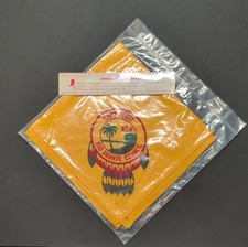 Boy Scouts BSA Rio Grande Council Camp Perry Yellow Official Neckerchief
