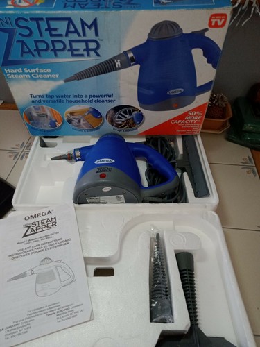 mini steamer for cleaning