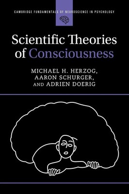 Scientific Theories of Consciousness Michael H. Herzog (u. a.) Taschenbuch 2026