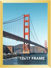 12" by 17" Wall Frame for Pictures, Posters, & Photos, Rectangular, Golden Color