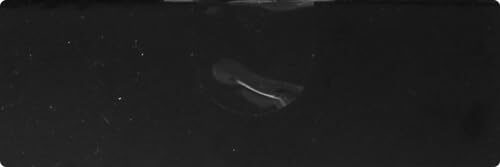 Gleem Sonic Power Toothbrush with Timer Soft Bristles Stylish Metallic Finish