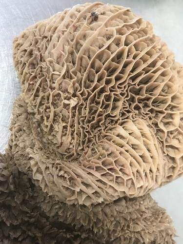 10kg Raw Beef Tripe Raw To Your Door FREE DELIVERY - Picture 4 of 5