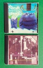 Flamin' Groovies 2 CDs: Rock Juice / Rare Demos & Live Recordings 