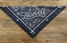 Tecovas Boots Square Bandana Handkerchief Scarf Texas Western Palo Duro Canyon