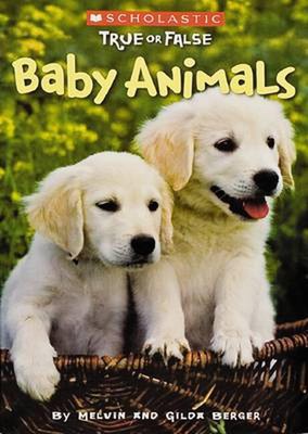 Baby Animals by Melvin Berger (English) Paperback Book