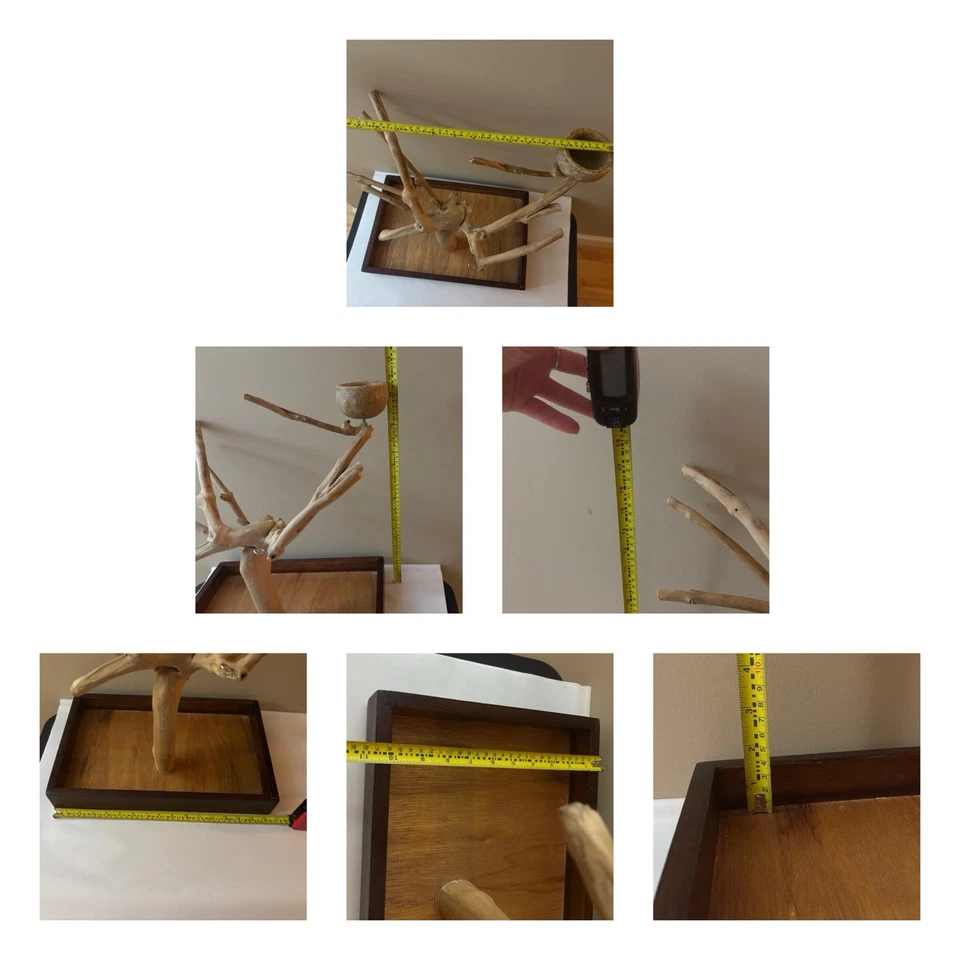 Java Tree Minis Medium Table Top Stand Playstand For Birds - Image 4 of 4