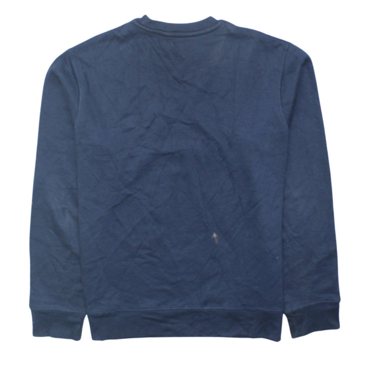 Champion Blue Sweatshirt Mens M image 2
