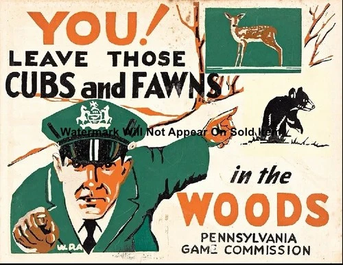 Notice Cubs & Fawns Pennsylvania Game Commission Poster Photo Print 8.5x11"