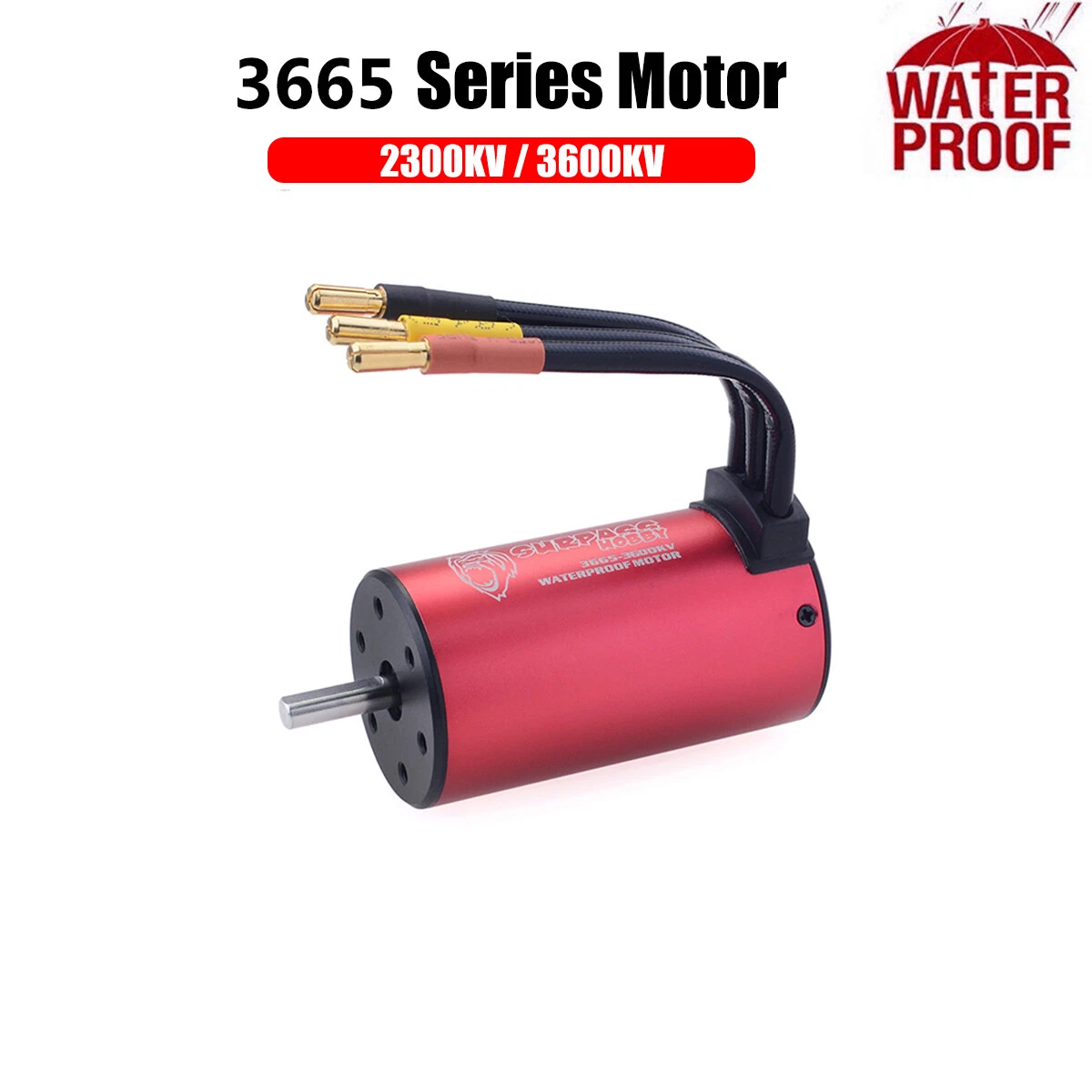 Best brushless motor for 2024 1 10 rc car