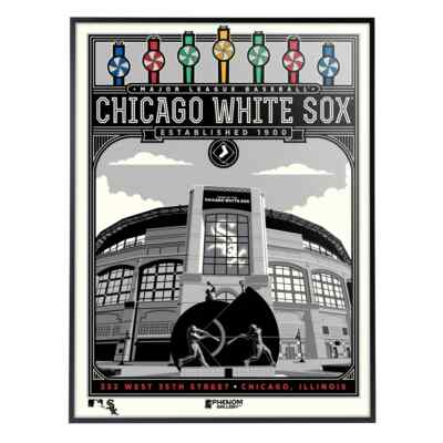 Phenom Gallery Chicago White Sox Stadium 18'' x 24'' Deluxe Framed Serigraph