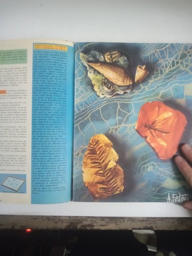 DIZIONARIO ENCICLOPEDICO CONOSCERE 2 FRATELLI FABBRI 1964 DEC-IN - Picture 5 of 6