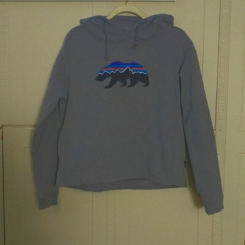 patagonia fitz roy bear moletom com capuz