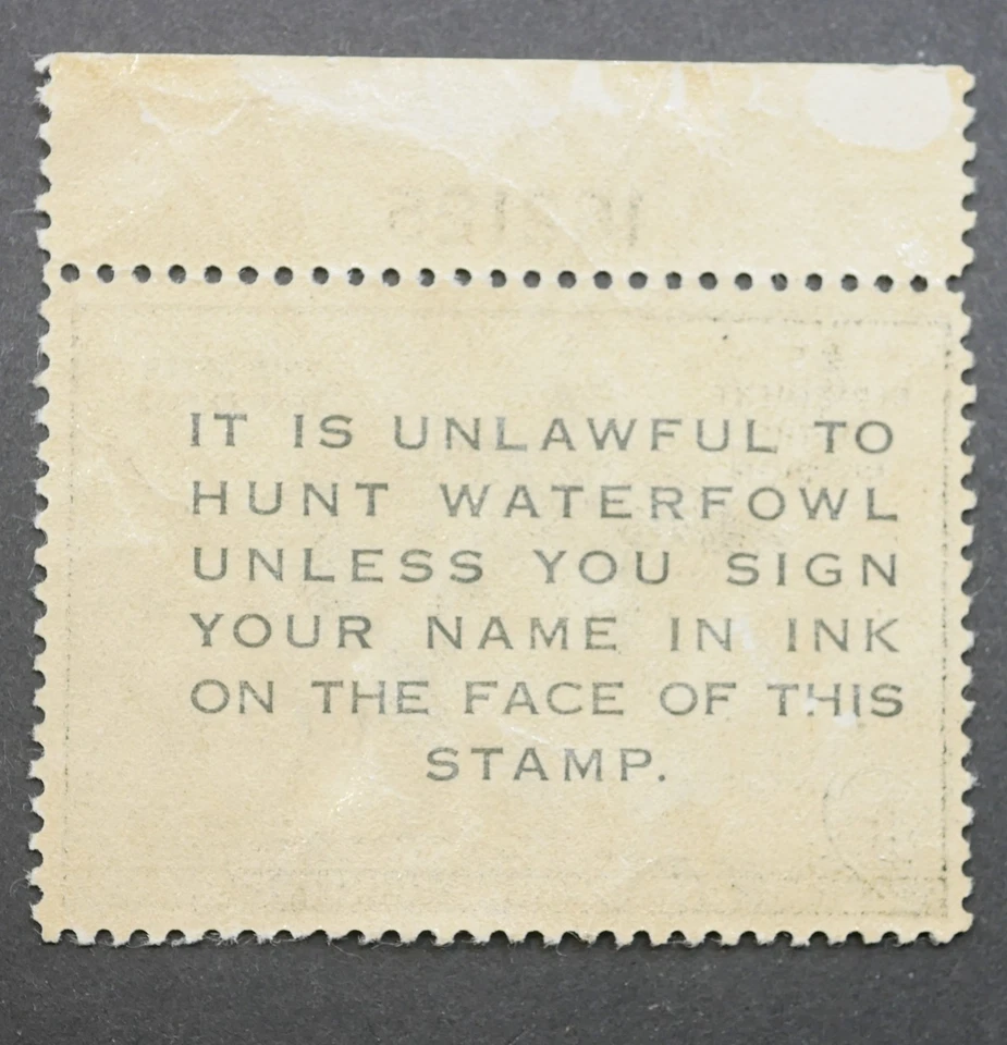 Estampillas federales de caza de patos RW18 finas MNH OG con PB# sello de caza de aves 1951 Foto 2 de 2