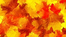 Landscape nature leaves minimalism fall orange yellow Custom Gaming Mat Desk
