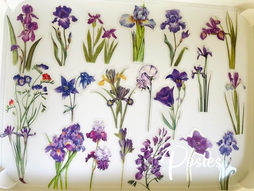 Flower Stickers Journal Diary Transparent Big Sticker AU 40 PCs Scrapbooking - Picture 40 of 45