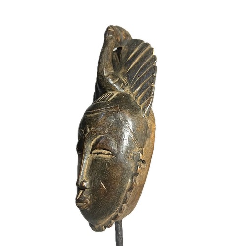 Maschera africana Baule Africa occidentale tribale legno intagliato ritratto volto scultura-831 - Foto 21 di 24