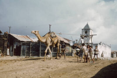 Mogadishu Somalia Street Scene Group of boys pass two men utilisin- 1960 Photo
