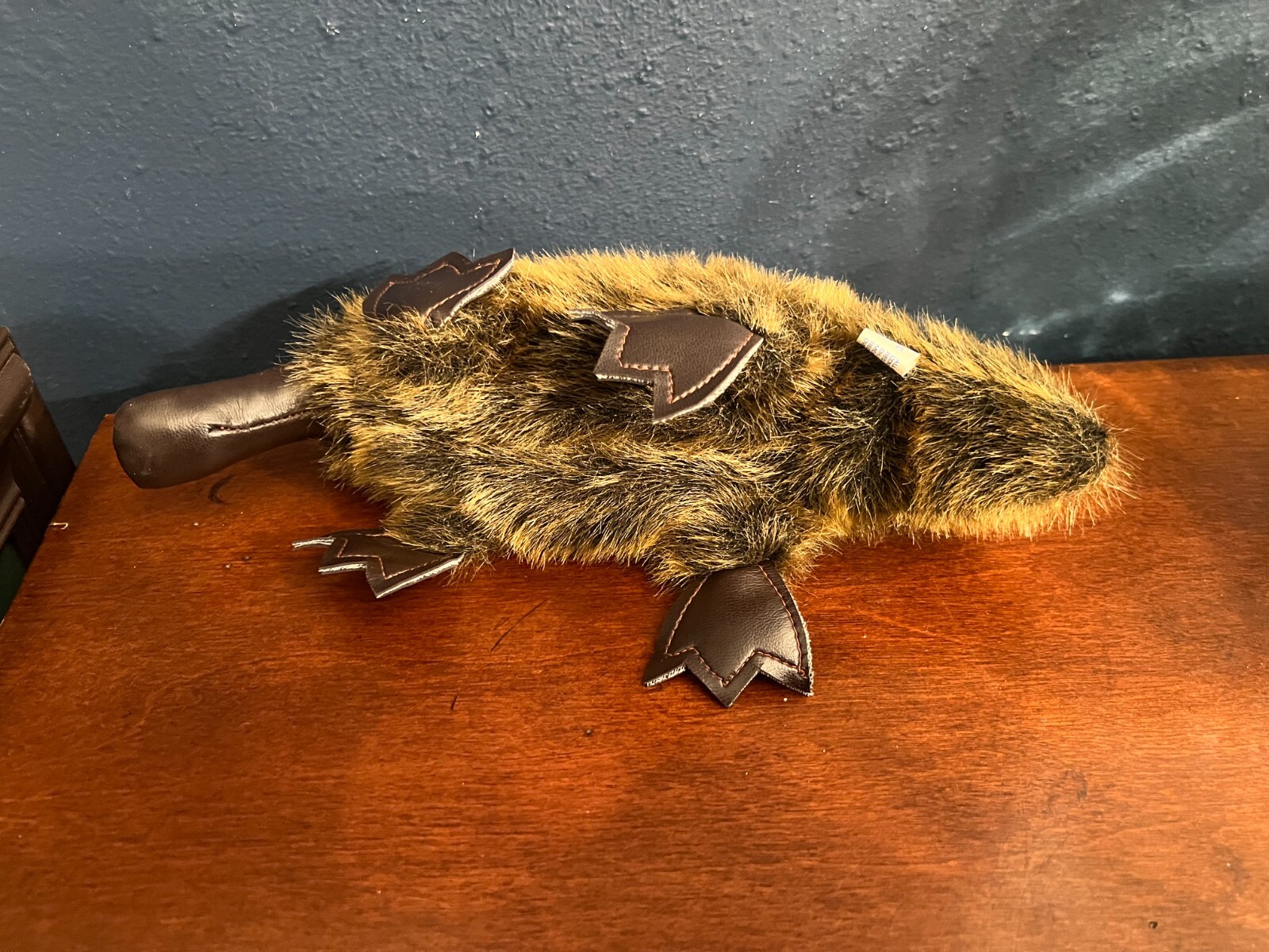 Picture 6 of 12