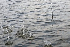 Carpspot Spotmarker Stabboje Stangenboje Spot...