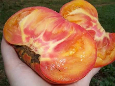 120+ BIG RAINBOW TOMATO SEEDS --------- HEIRLOOM -- NON GMO --FRESH --- RARE
