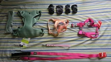 Dog Harness & Leash Size XL