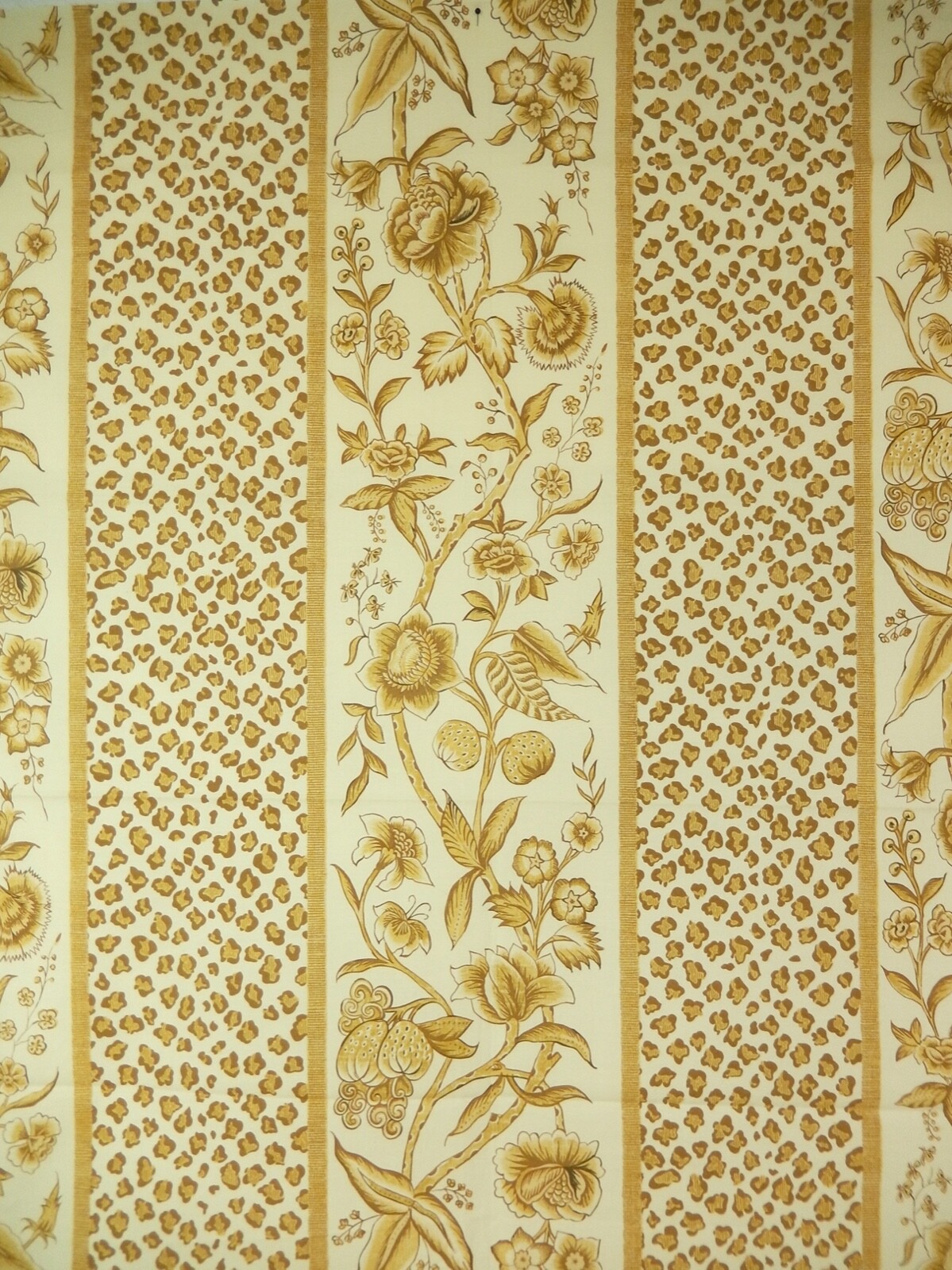 Foto 5 di 11