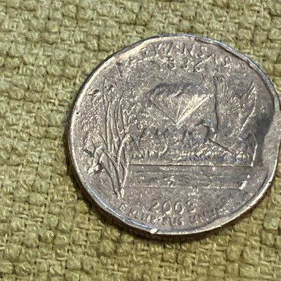 2003d Quarter Error  See Mint Errors On Back Right Side Rare