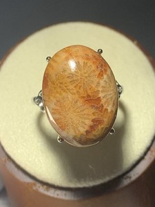 Natural Silicified Coral Fossil Flower Agate Ring/ Adjustable /
