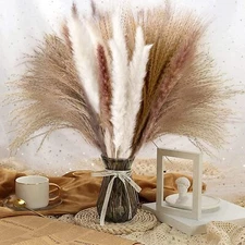 Natural Dried Plants Flower Bouquet Pampas Grass Reeds for DIY Boho Decor Home