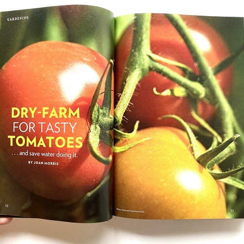 NEW! The Old Farmer's Almanac 2017: Special Anniversary Edition - Hardcover - Bild 7 von 7