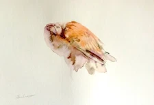 Falcon,  Birds, Watercolor artwork, Handmade, Original painting on paper