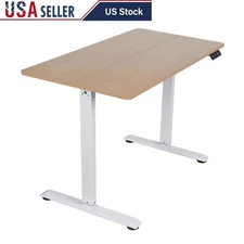 Electric Height Adjustable Desk Sit Stand Ergonomic Home Office Gaming Adult New