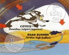 Rare! Road Runner Cartoon Photo Warner Bros Animation Chuck Jones Looney Tunes