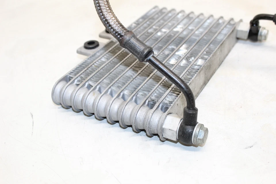 Enfriador de aceite de motor Hyosung GT250 2008 Comet Foto 4 de 4