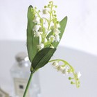 Foto 5 di 5