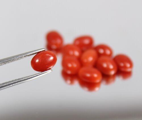 Lot Genuine Coral Cabochon Gemstone for Jewelry Making top Quality Coral 7x5x3mm - Picture 4 of 5