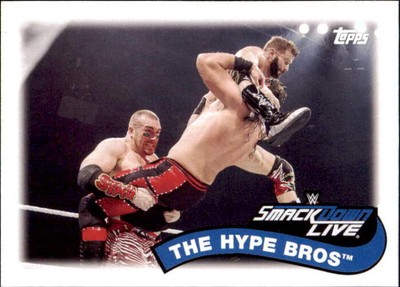 2018 Topps WWE Heritage #TT-12 The Hype Bros Tag Teams and Stables