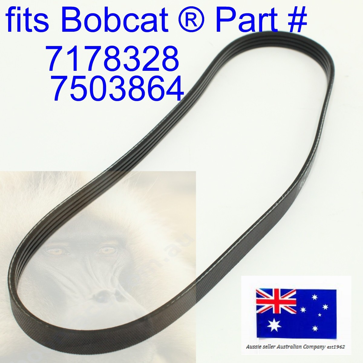 fits Bobcat Doosan A/C AC Air Conditioner Compressor Belt 7178328