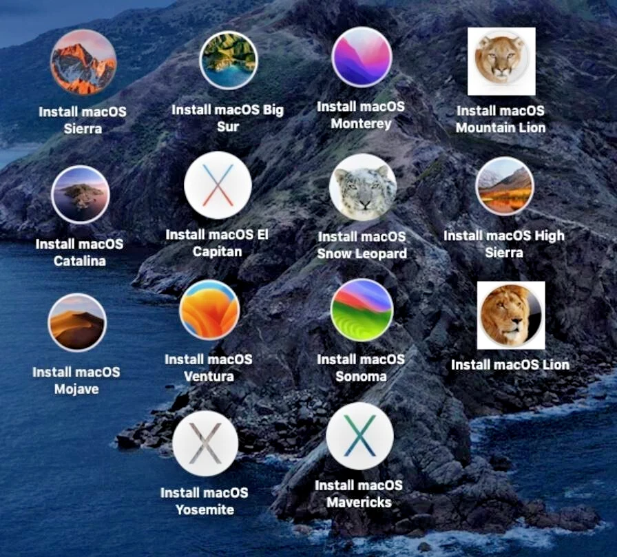 128GB USB 14-in-1 MacOS bootable Installer repair recovery tech support service - Image 3 of 4