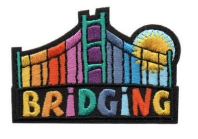 Boy Girl Cub BRIDGING Ceremony Fun Patches Crests Badges GUIDES SCOUT Rainbow