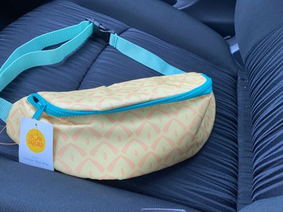 insulated fanny pack target