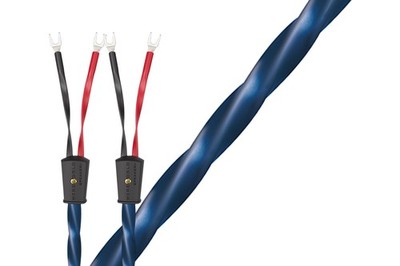 Wireworld Oasis 10 Lautsprecherkabel Single-Wire (Paar)