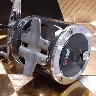 Daiwa Sealine 600H 両軸リール Daiwa SeaLine 600H Saltwater Fishing