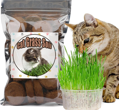 Organic Potting Soil for Indoor Cat Grass, Great Seedling Soil for Wheat Grass,