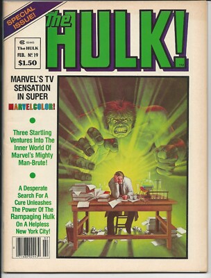 The Hulk #19 FN/VF 7.0 Off-White Pages (1977 Magazine Series)